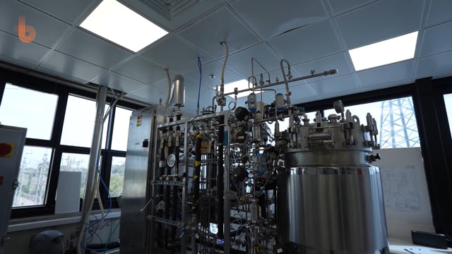Research & Production